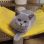 image 2023 09 08 17 49 13