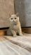 image 2024 10 01 18 04 39